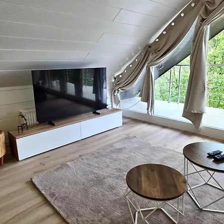 Modern With Panoramic Living Area Apartment